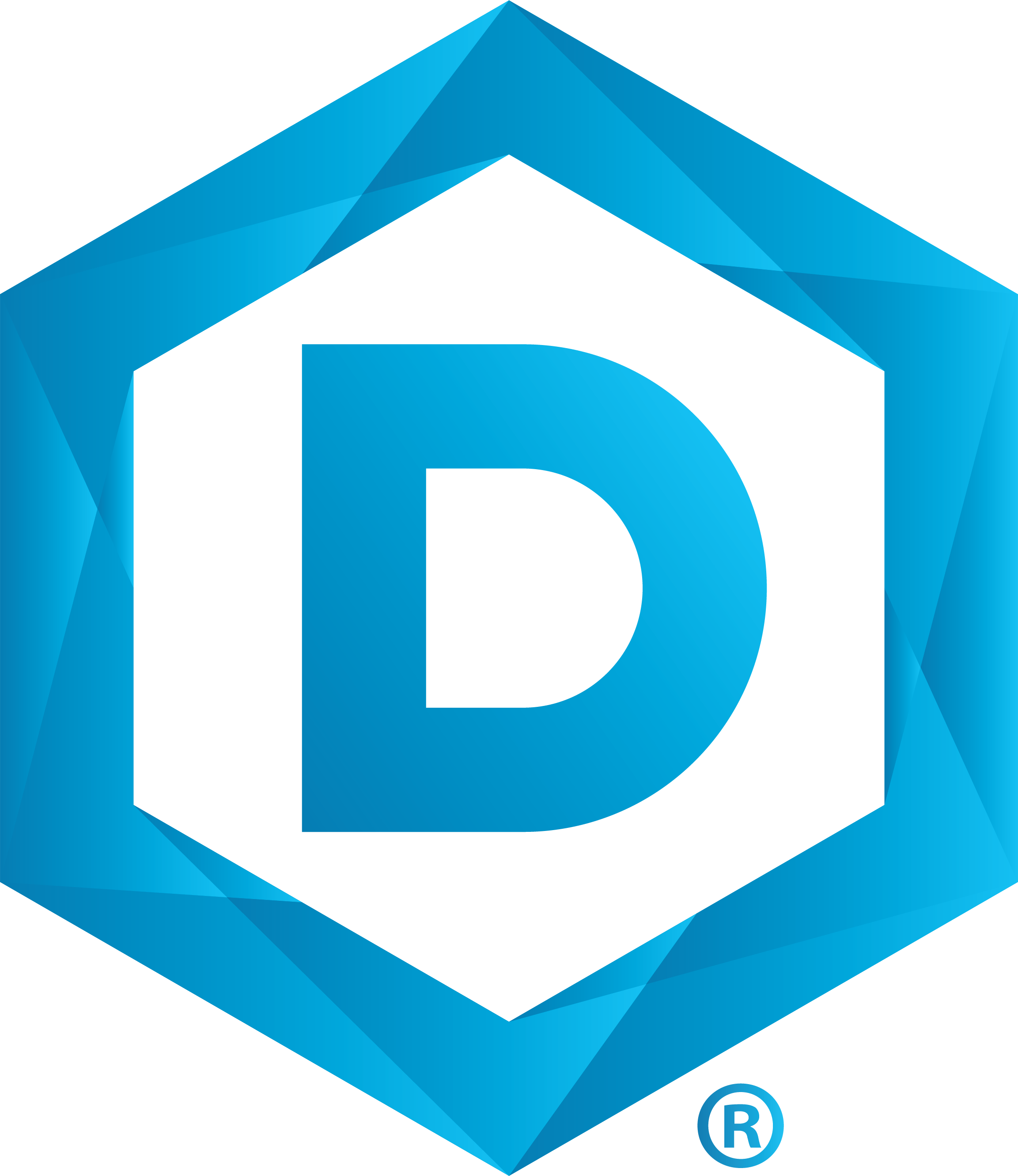 DSU University Logo Icon